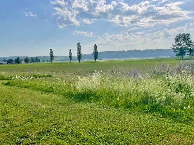 zwischenbericht2